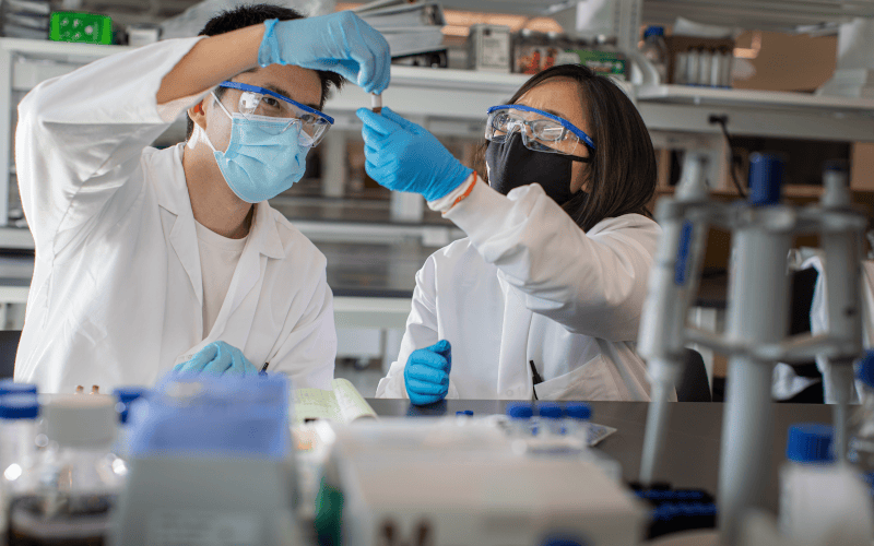 Students working in a lab